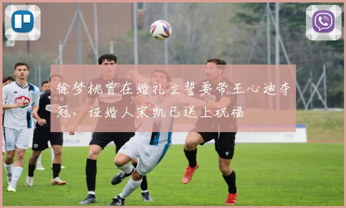 徐梦桃曾在婚礼立誓要带王心迪夺冠，证婚人宋凯已送上祝福