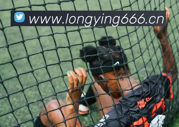 九游体育官网登录入口平台生态图