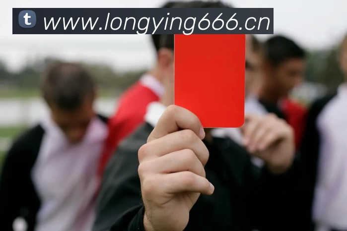 九游体育官网登录入口APP 封面图